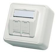 TelegäRtner ModulträGer,AP-Dose,F. 2xAMJ/AMJ-S-Mod./Kupp.,AW, 80x80, 30Grad, (Keystone)