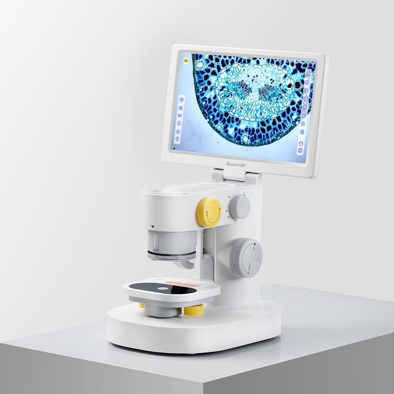 BeaverLAB Darwin MX MINT Intelligentes Mikroskop Mit HochauflöSendem Display