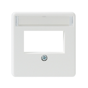 Rutenbeck Dose, UP, Zentralplatte FüR TAE 2-Fach Ausschnitt, Reinweiss, 50x50, ZSt UM-MA 2 Rw