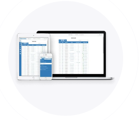 Teltonika TACHOWEB License