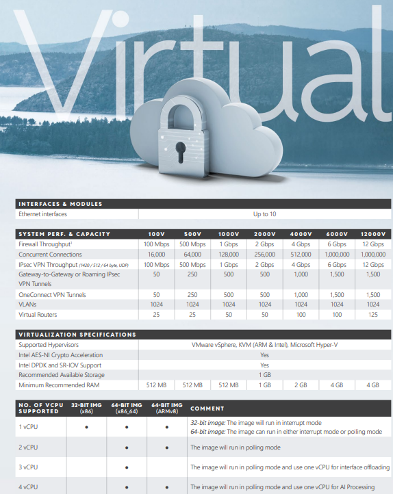 Clavister NetWall 2000V NGFW Essentials Services, Monthly