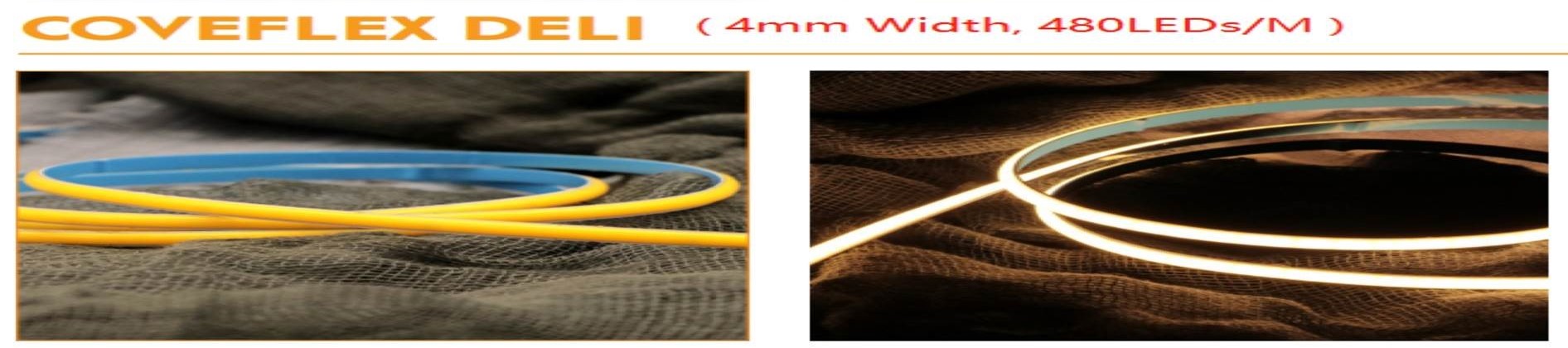 S21-LED-DELI-65
