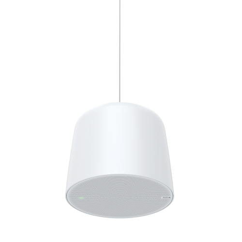 AXIS C1511 NETWORK PENDANT