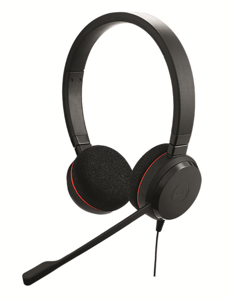 Jabra Evolve 20 Headset Duo USB