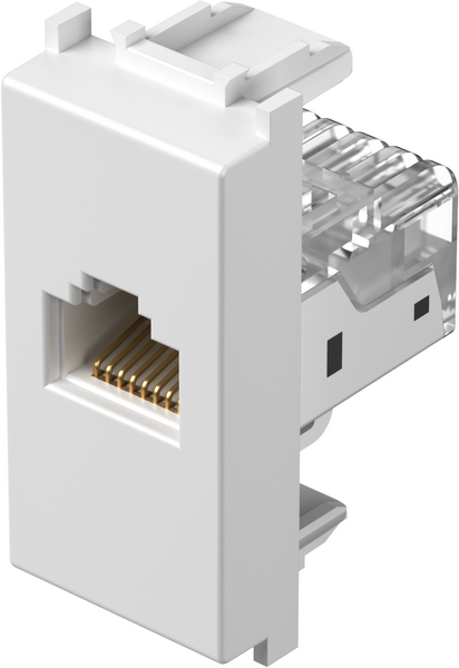 TEM Serie  Modul Steckdosen SOCKET CAT5e KSRJ45 8/8 1M PW