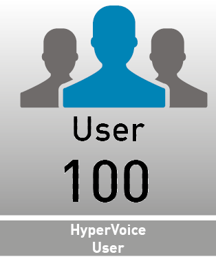Hypervoice 100 User License