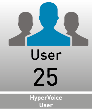 Hypervoice 25 User License