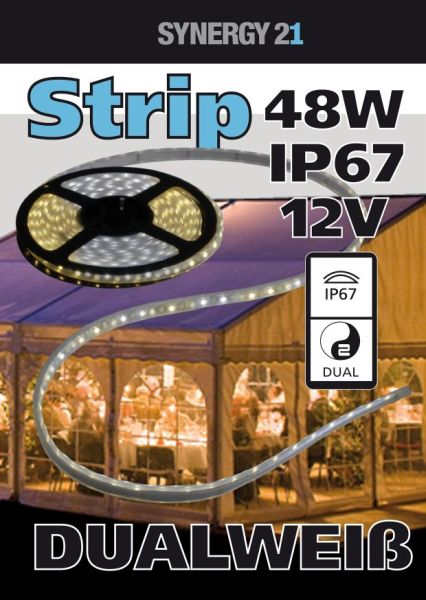 Synergy 21 LED Flex Strip 3528 - 120 DW (CCT) DC12V 48W pro Farbe IP67