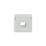 Rutenbeck Dose, UP, Zentralplatte, Reinweiss, 50x50, ZSt UAE-Cat. 8 Rw