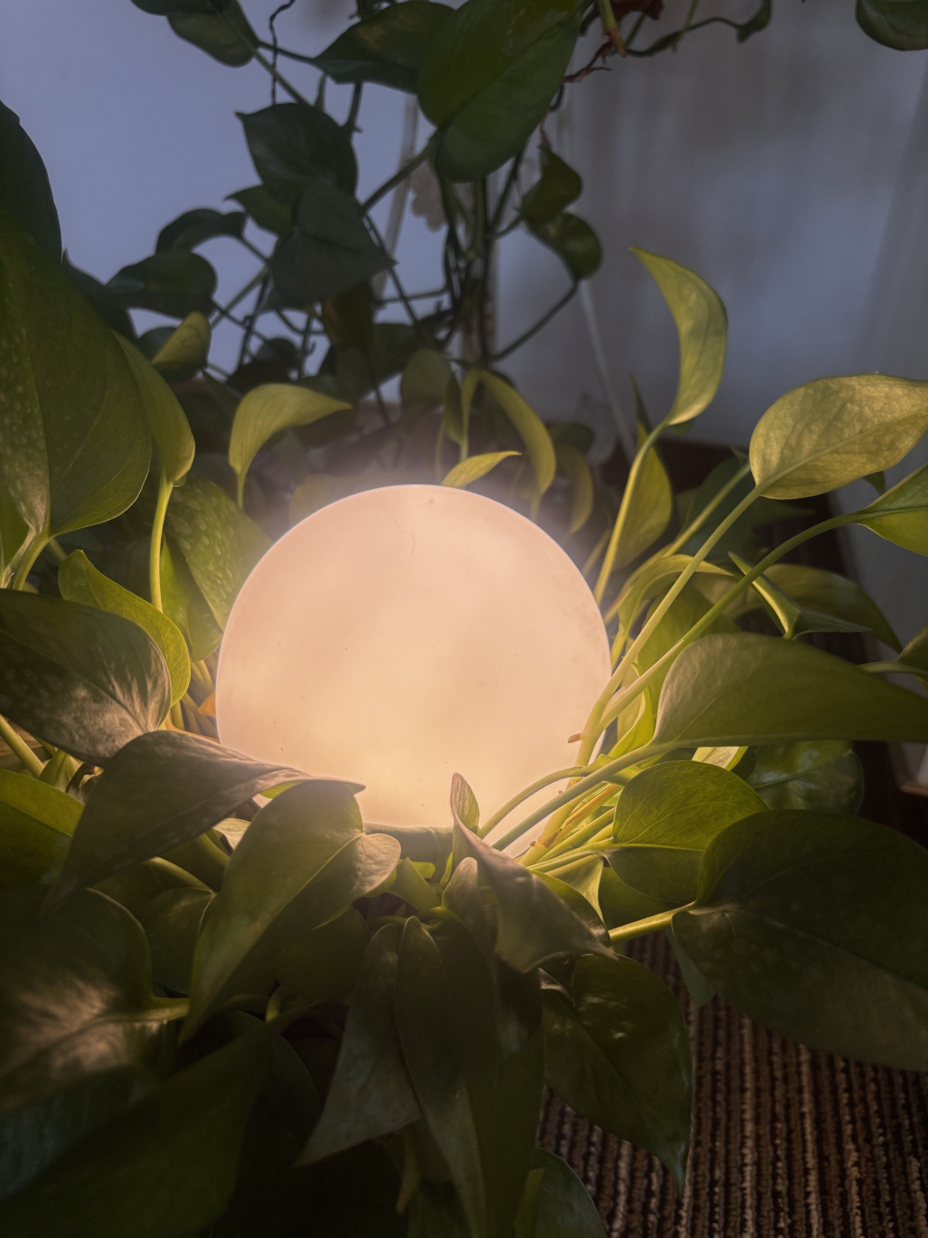 Synergy 21 LED Gartenleuchte Kugel Argos klein IP65 ww