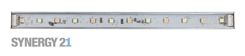 S21-LED-TOM00034