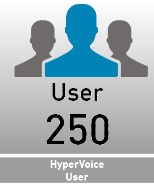 Hypervoice 250 User License