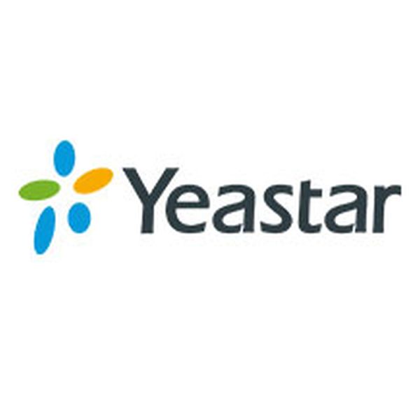 Yeastar P-Serie Enterprise Plan P550 (1 Jahr) Yeastar P-Serie Enterprise Plan P550 (1 Jahr)