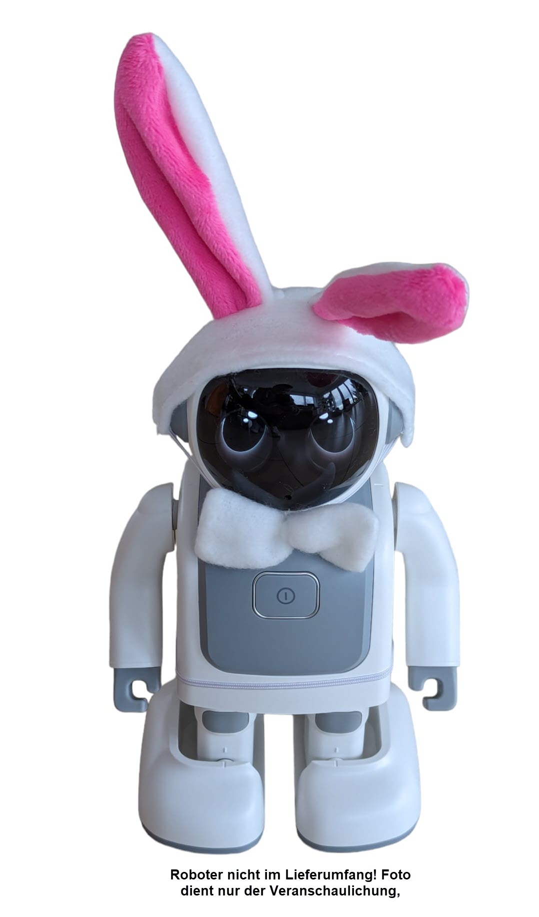 Robert - zbh. Verkleidung "Easter Edition" Robert - zbh. Verkleidung "Easter Edition"