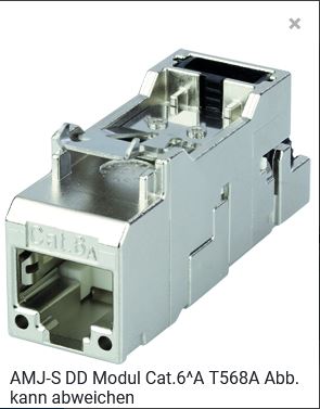 TelegäRtner Modul, AMJ-S DD, CAT6A, TP/LSA, Snap-In, 2-Pack, (Keystone), T568B