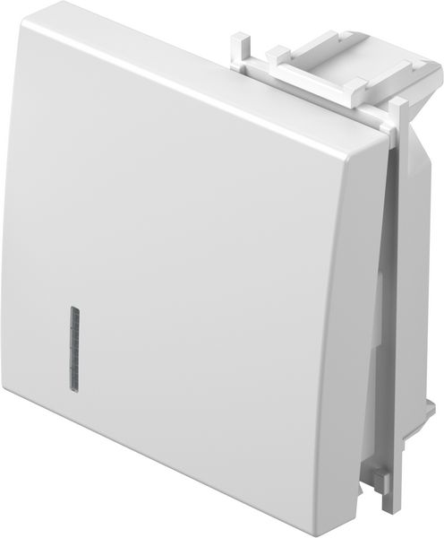 TEM Serie  Modul Wippen BUTTON2M PW IN