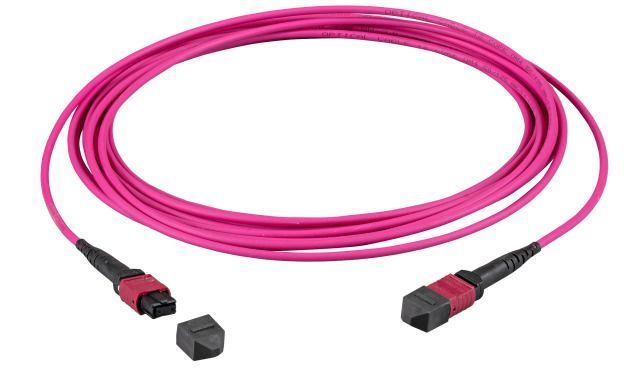 EFB Elektronik MTPF12MTPFOM4-0,5 InfiniBand/fibre optic cable 0.5 m MTP Violet