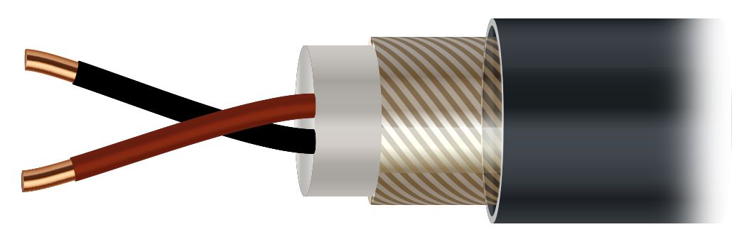 S21-LED-DMX0240073