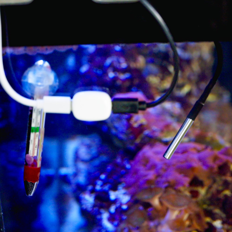 Shelly · The Pill · "Temperatursensor DS18B20 3,5 mm Jack 1m Kabel"