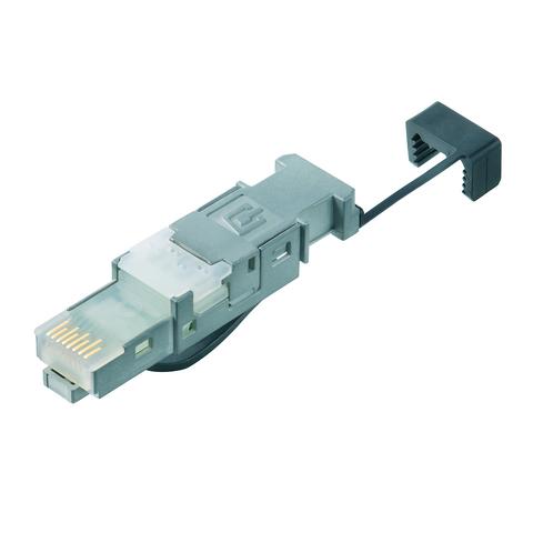 TelegäRtner Stecker, TP/RJ45, Feldkonfektionierbar, CAT6 , STX