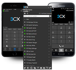 3CX Annual PBX Professional - 192SC